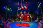 Circussommer 2006 Plakat